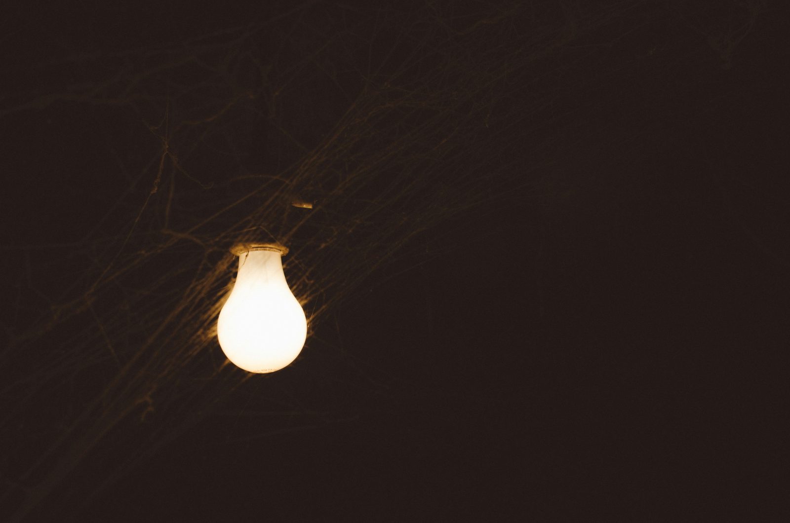 kelly-sikkema-Z895fnYRbog-unsplash